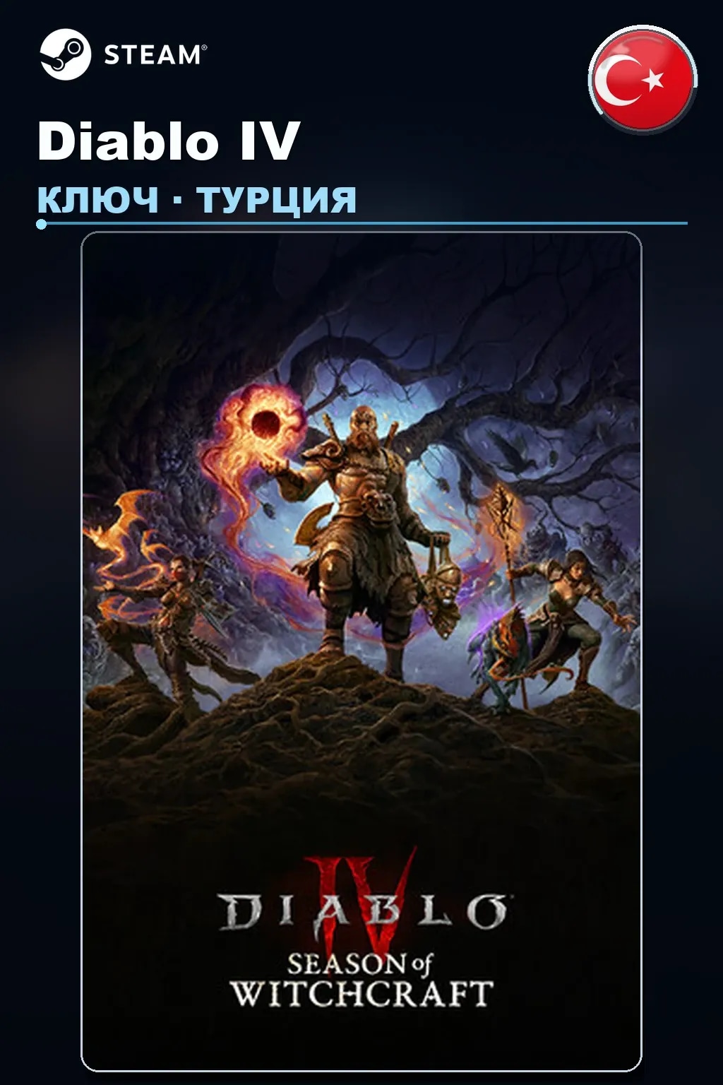 Diablo IV — Турция